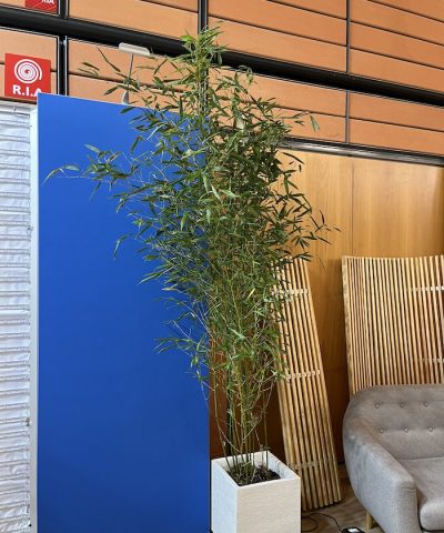 Congrès des pharmaciens 2