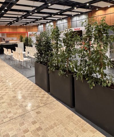 SALON DE LA CUISINE 2